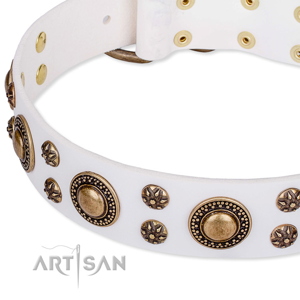 Easy wearing decorated dog collar of durable natural leather
