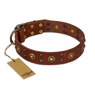 "Unfailing Charm" FDT Artisan Studded Tan Leather Bullmastiff Collar