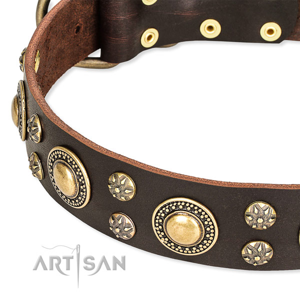 Walking adorned dog collar of durable full grain natural leather