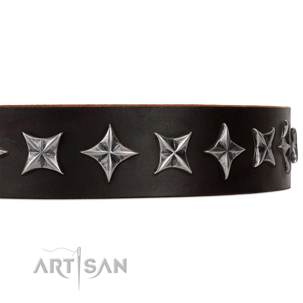 Everyday walking embellished dog collar of reliable full grain leather