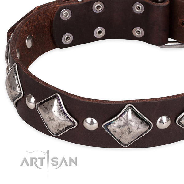 Daily walking decorated dog collar of fine quality natural leather