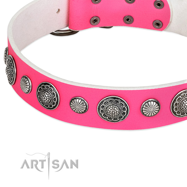 Full grain genuine leather collar with corrosion resistant D-ring for your impressive dog