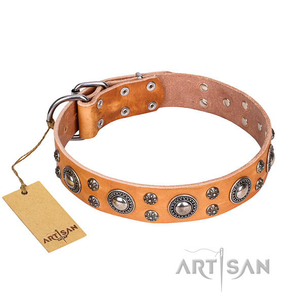 Handy use dog collar of fine quality genuine leather with decorations