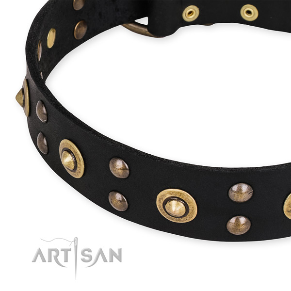 Full grain natural leather collar with reliable hardware for your beautiful four-legged friend