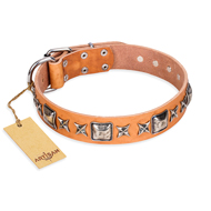 "Glamour Finery" FDT Artisan Female Bullmastiff collar of natural leather with stylish old-looking circles