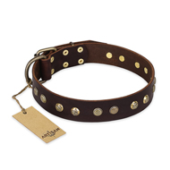 "Bronze Sheen" FDT Artisan Leather Bullmastiff Collar with Brass-Plated Studs
