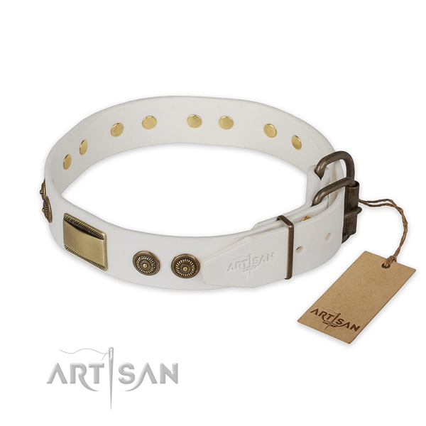 Rust-proof traditional buckle on leather collar for fancy walking your doggie