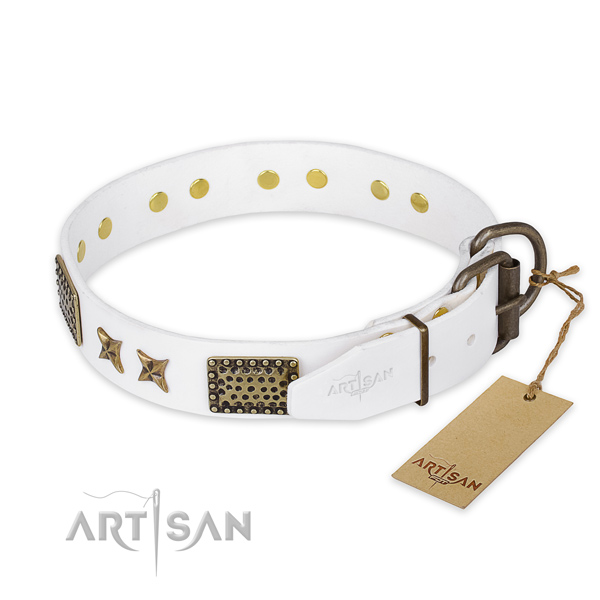 Corrosion resistant fittings on full grain natural leather collar for your handsome pet