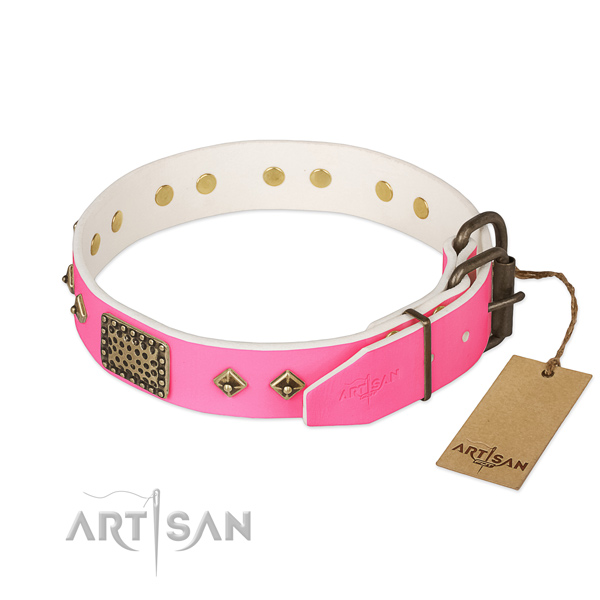 Reliable D-ring on comfortable wearing dog collar