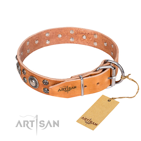 Comfortable wearing decorated dog collar of best quality full grain natural leather