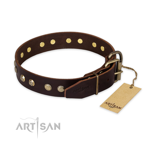 Reliable traditional buckle on leather collar for your handsome pet