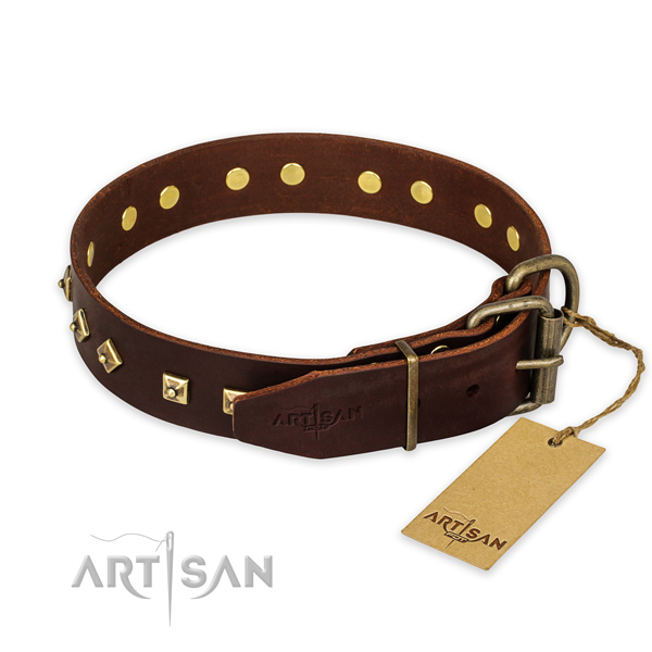 Corrosion proof traditional buckle on leather collar for walking your doggie