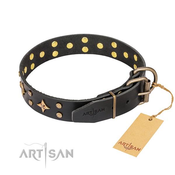 Walking adorned dog collar of strong full grain natural leather