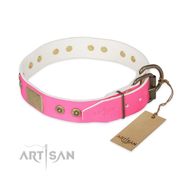 Corrosion resistant adornments on daily use dog collar