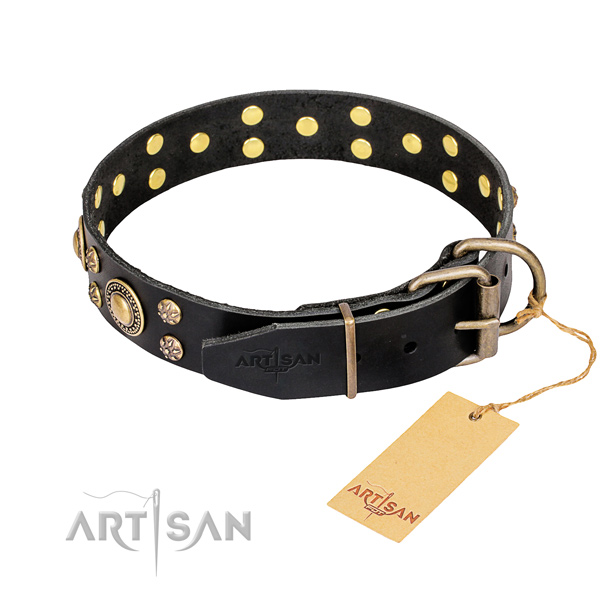 Stylish walking studded dog collar of finest quality genuine leather