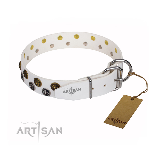 Comfortable wearing studded dog collar of strong full grain genuine leather