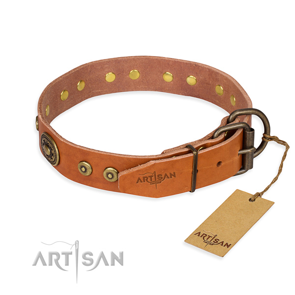 Full grain natural leather dog collar made of top rate material with corrosion resistant embellishments