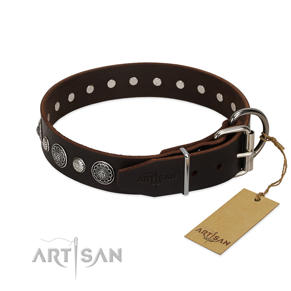 Quality full grain genuine leather dog collar with rust resistant traditional buckle