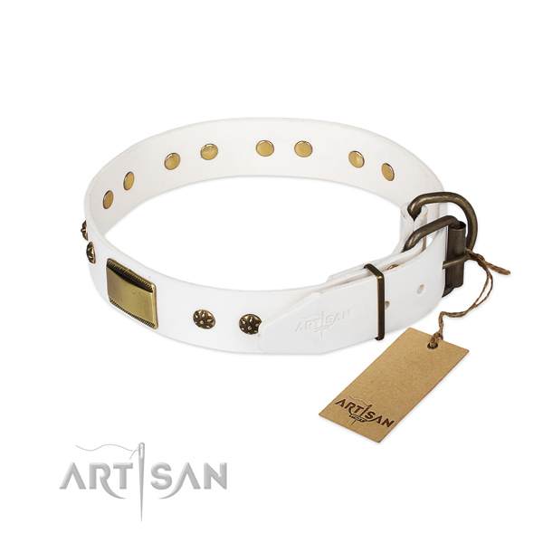 Full grain natural leather dog collar with rust-proof fittings and embellishments