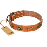 "Dandy Pet" FDT Artisan Handcrafted Tan Leather Bullmastiff Collar