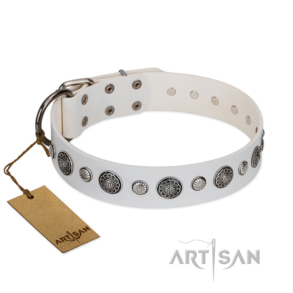Soft Full grain natural leather dog collar with rust-proof traditional buckle