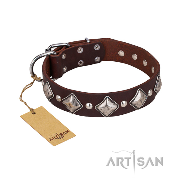 Stylish walking dog collar of best quality genuine leather with decorations
