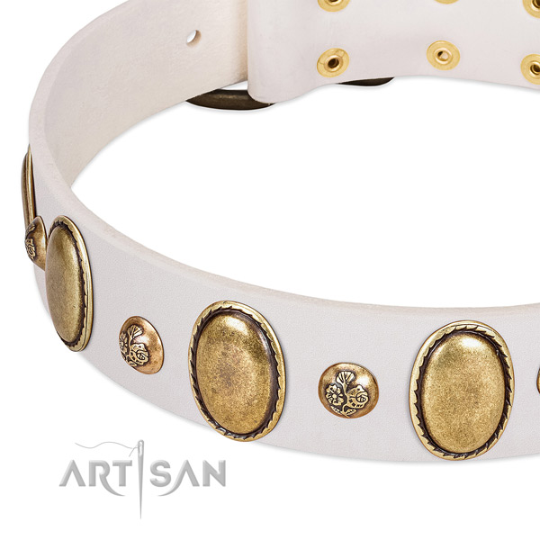 Genuine leather dog collar with unique studs