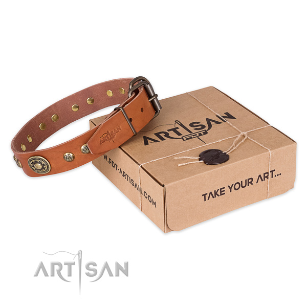 Reliable buckle on leather dog collar for stylish walking