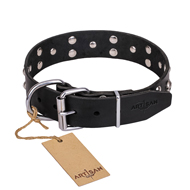 "Mystic Skulls" Decorated Leather Bullmastiff Collar with Skulls and Studs