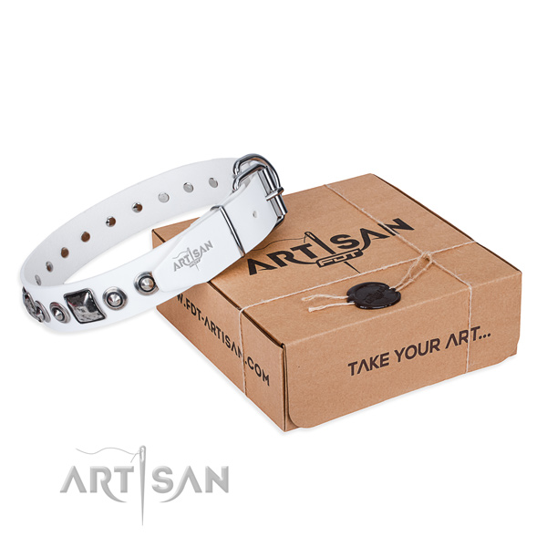 Flexible full grain leather dog collar created for basic training