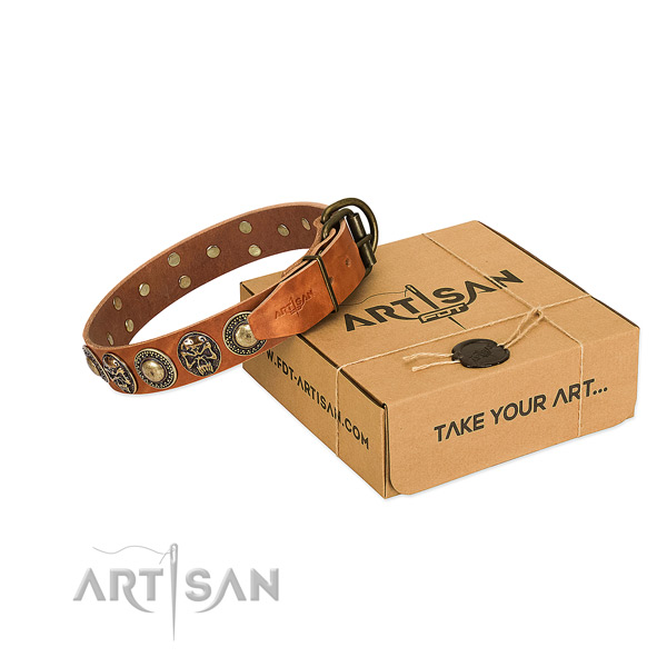 Corrosion proof fittings on dog collar for handy use