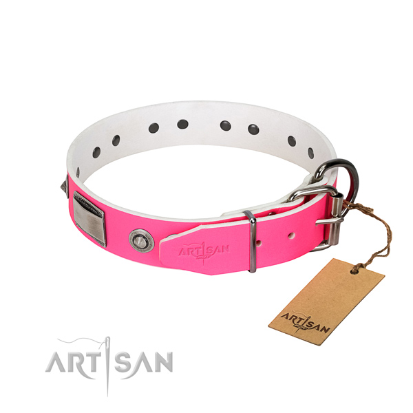 Awesome dog collar of genuine leather with adornments
