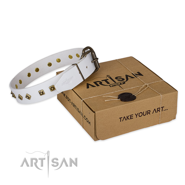 Corrosion proof hardware on leather dog collar for stylish walking
