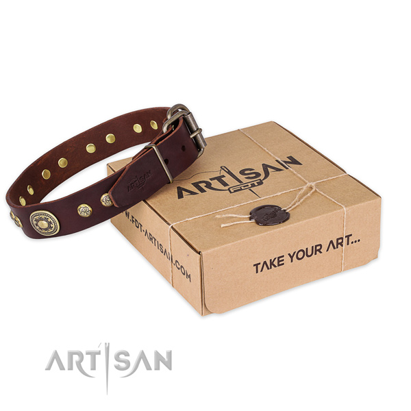 Rust resistant buckle on natural leather dog collar for everyday walking