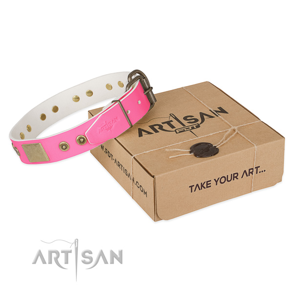 Corrosion resistant studs on dog collar for stylish walking