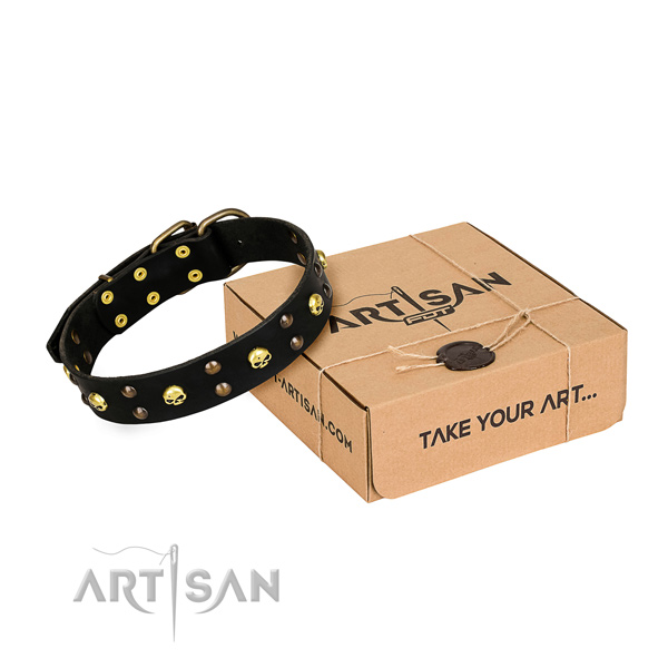 Daily use dog collar of strong natural leather with decorations