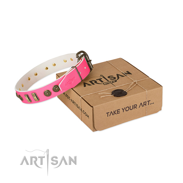 Strong embellishments on full grain leather dog collar for your four-legged friend