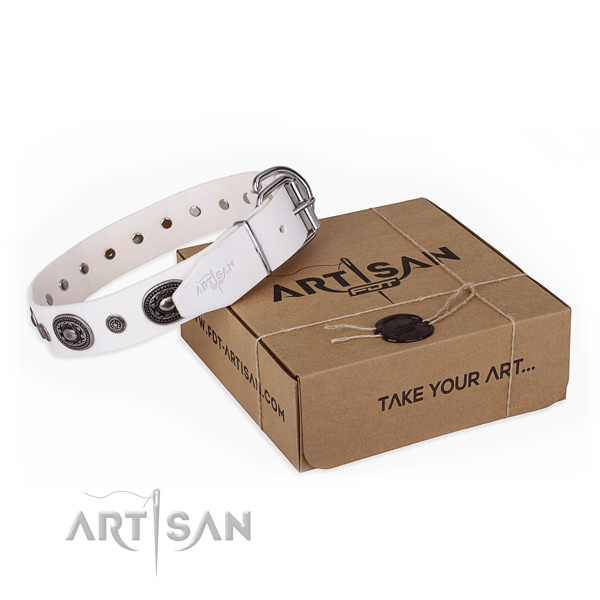 Gentle to touch leather dog collar handmade for stylish walking
