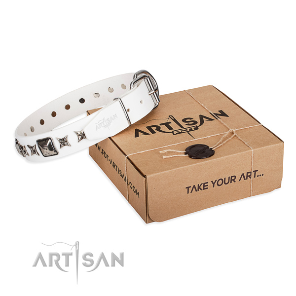 Daily walking genuine leather dog collar with embellishments