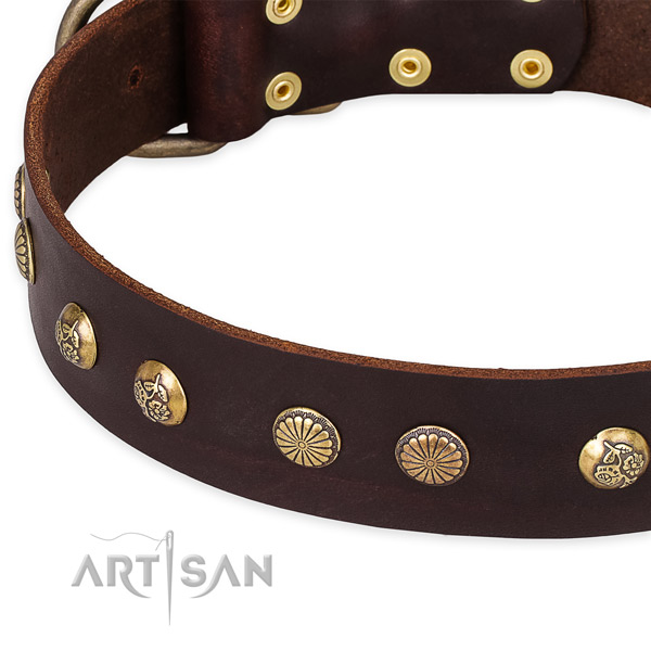 Full grain leather collar with rust resistant hardware for your handsome doggie