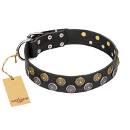 "Romantic Breeze" FDT Artisan Black Leather Bullmastiff Collar with Sparkling Circles
