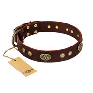 "Old-fashioned Glamor" FDT Artisan Brown Leather Bullmastiff Collar with Old Bronze Look Plates and Circles