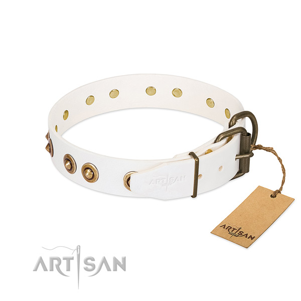 Corrosion resistant adornments on natural leather dog collar for your canine