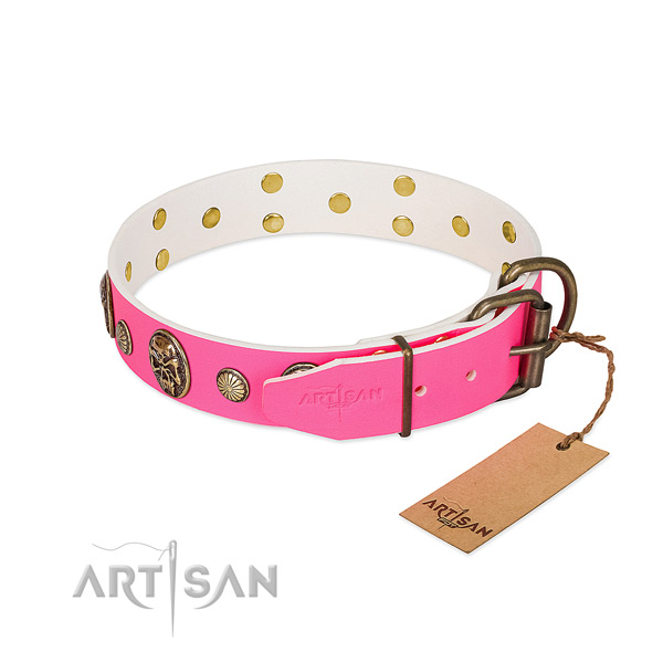 Reliable adornments on full grain leather dog collar for your doggie