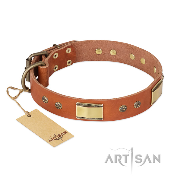 Unusual full grain natural leather collar for your pet