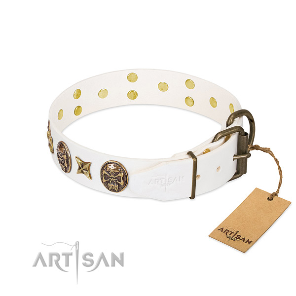 Corrosion resistant fittings on genuine leather collar for daily walking your pet