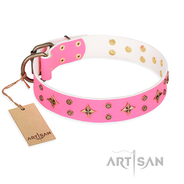 Fancy walking dog collar of durable natural leather with adornments