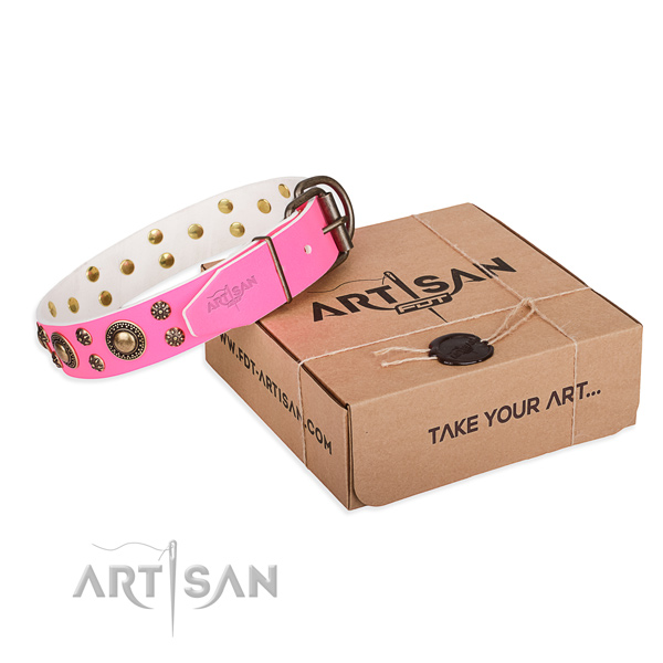 Daily use dog collar of durable genuine leather with adornments