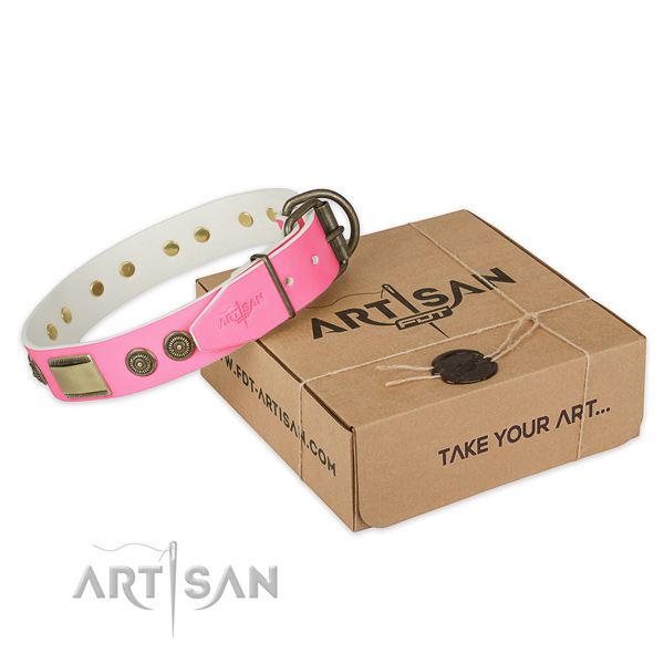 Strong D-ring on dog collar for daily walking