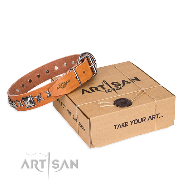 Stylish walking dog collar of quality natural leather with embellishments